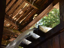 山河の四季と共にあるがままの吾に環る茅葺の古宿　湯滝の宿西屋の施設写真2