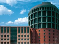 THE BASICS FUKUOKA �U�E�x�[�V�b�N�X�����̎ʐ^