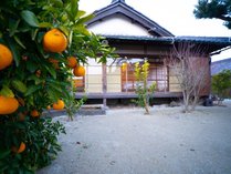 citrus house�̊O�ώʐ^