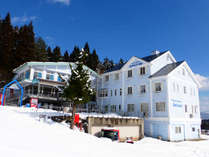 v`ze@Aoitori̊Oώʐ^