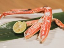 ���c���̎ʐ^