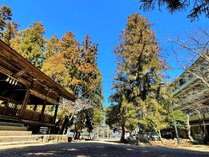 h ݂₶ܓm̏h̎{ݎʐ^3