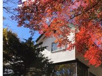 QXgnEX@݂̖؂̎{ݎʐ^3