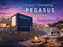 PEGASUS�̊O�ώʐ^