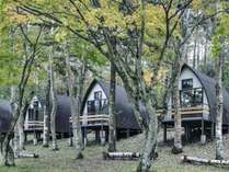 TINY GARDEN 蓼科 -Camp, Lodge & Cabins-の外観写真