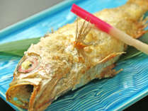 ̂CNh@Ђ̎{ݎʐ^3