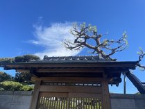 ���X���ʂ��u�x�̊O�ώʐ^