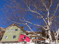 GUESTHOUSE HO ALOHA 4SEASONS�̊O�ώʐ^