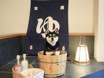 愛犬と泊まれる温泉宿　ゆるり西伊豆の施設写真2