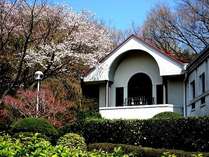 �ɓ���Ɍ΃��C�N�T�C�h�e���X�̊O�ώʐ^