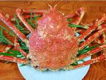 h邳̎{ݎʐ^2