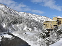 lC̘IVtqƕxȐ{ؔ@Fތ@T̎ʐ^