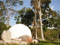 numatana glamping resort�̊O�ώʐ^
