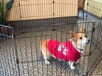 �s�����@�d�w�o�@�x�������������̎{�ݎʐ^3