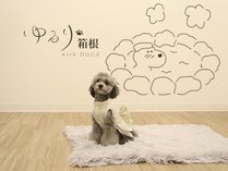 蔠withDOGS̎{ݎʐ^1