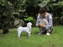 蔠withDOGS̎{ݎʐ^2