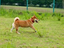 �u���������������̎{�ݎʐ^2