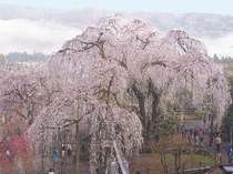 �{���̑厩�R�Ɉ͂܂ꂽ�I�V���C�̂���h�@�J�Ð�ق̎{�ݎʐ^2