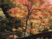 {̑厩RɈ͂܂ꂽIVĈh@JÐق̎{ݎʐ^3