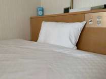 �z�e���_�E���^�E���̎{�ݎʐ^2