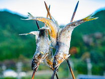 ���h�@�₢���̎{�ݎʐ^2