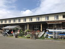 �D�h�C���Y�̊O�ώʐ^