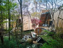 SANU 2nd Home �ߐ{ 1st�̊O�ώʐ^