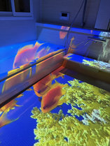 �����g���蔑�܂��IOT�~�f��ف@�ۂ̎{�ݎʐ^1