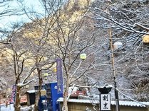 ���Y�ό��z�e���̎{�ݎʐ^2