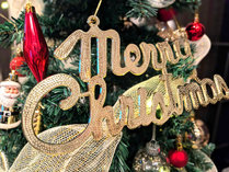 Apzeq Ory2025N3qݔj[Az̎{ݎʐ^2