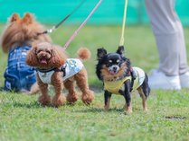 LONG VACATION RESORT�̎{�ݎʐ^3