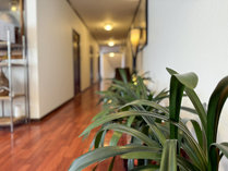 ���ٌc�B�̎{�ݎʐ^2