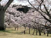 �ɓ������@�R�V�ӂ̏h�@�����@�`ohbu�`�̎{�ݎʐ^3