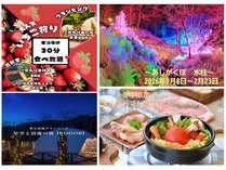 Ɛ̐XOsOIRODORI̊Oώʐ^