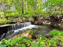 ���b�W��i�̎{�ݎʐ^2