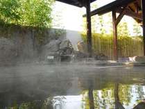 七城温泉ドームの施設写真2