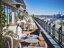 �C���^�[�R���`�l���^�����lPier 8 by IHG�̎{�ݎʐ^2