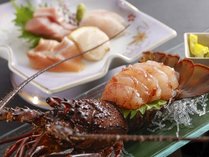 わんわんパラダイス 松阪の施設写真3