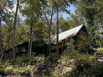 �X�̃��O�n�E�X�@�Ȃ�����̊O�ώʐ^