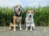 �R�e�[�W�����O�[�̊O�ώʐ^