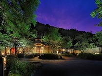 `̓@@Stq̏h̊Oώʐ^