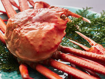 ���Z�@�[��̋u�̎{�ݎʐ^2