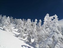 �X�̒��̏����ȉB��h�@���F�����[�k�̎{�ݎʐ^2