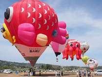 ���v�O�����h�z�e���̎{�ݎʐ^3