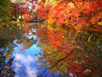 Tabist kiki HOTEL Gojo Karasuma̎{ݎʐ^2