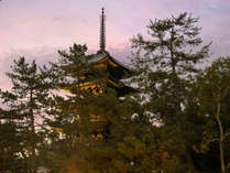 興福寺五重塔すぐ目の前　大仏館の施設写真3