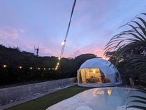 seagull oasis�̊O�ώʐ^