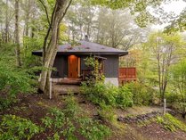 �����^���B���@�y���@�`�X�̃R�e�[�W�`�̊O�ώʐ^