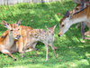 �z�e�����q�ޗǂ̎{�ݎʐ^2