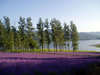 かなやま湖ログホテルラーチの施設写真3